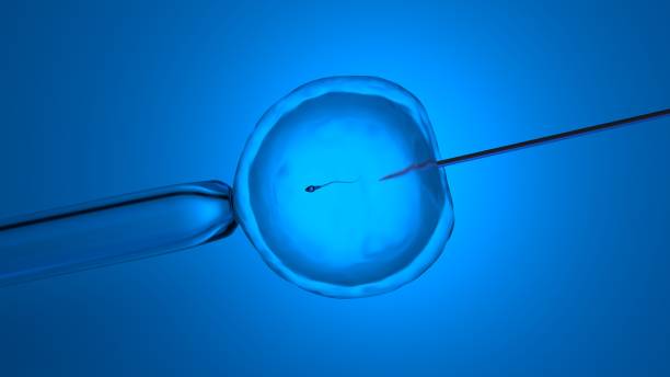 best ivf and infertility specialist in vashi
